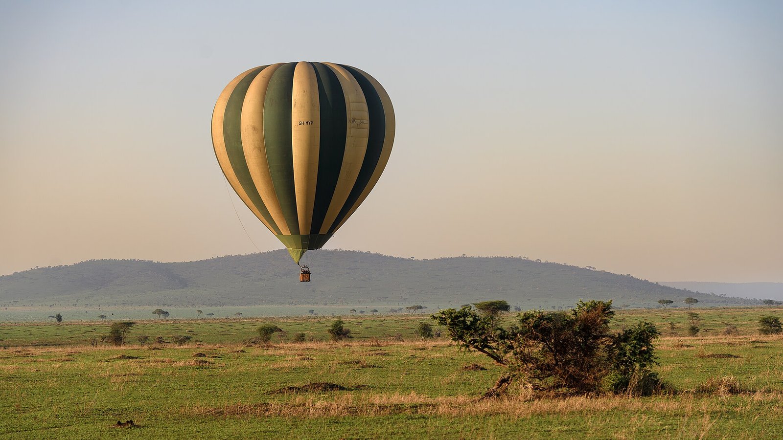 Hot air balloon over the Serengeti at sunrise