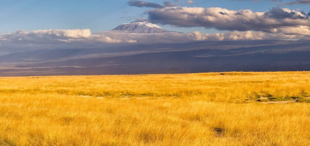 Kibo summit of Mount Kilimanjaro rising above the clouds, Tanzania