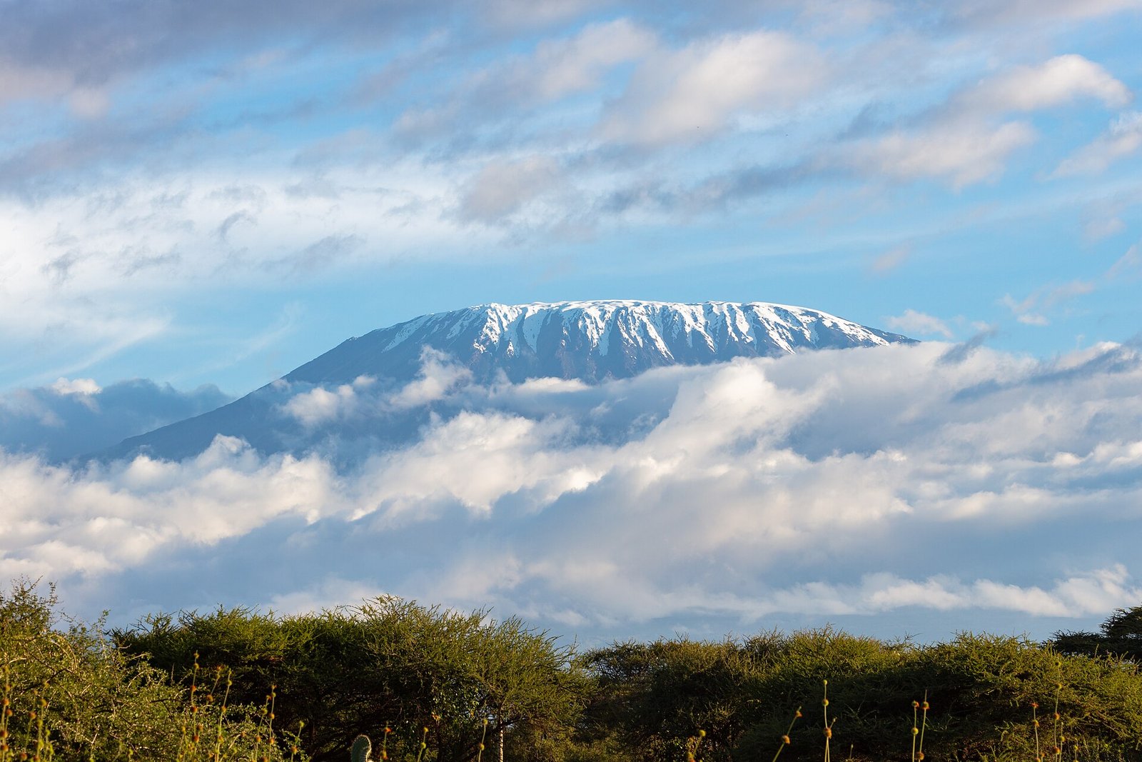 Mount Kilimanjaro rising above the surrounding landscape, Tanzania