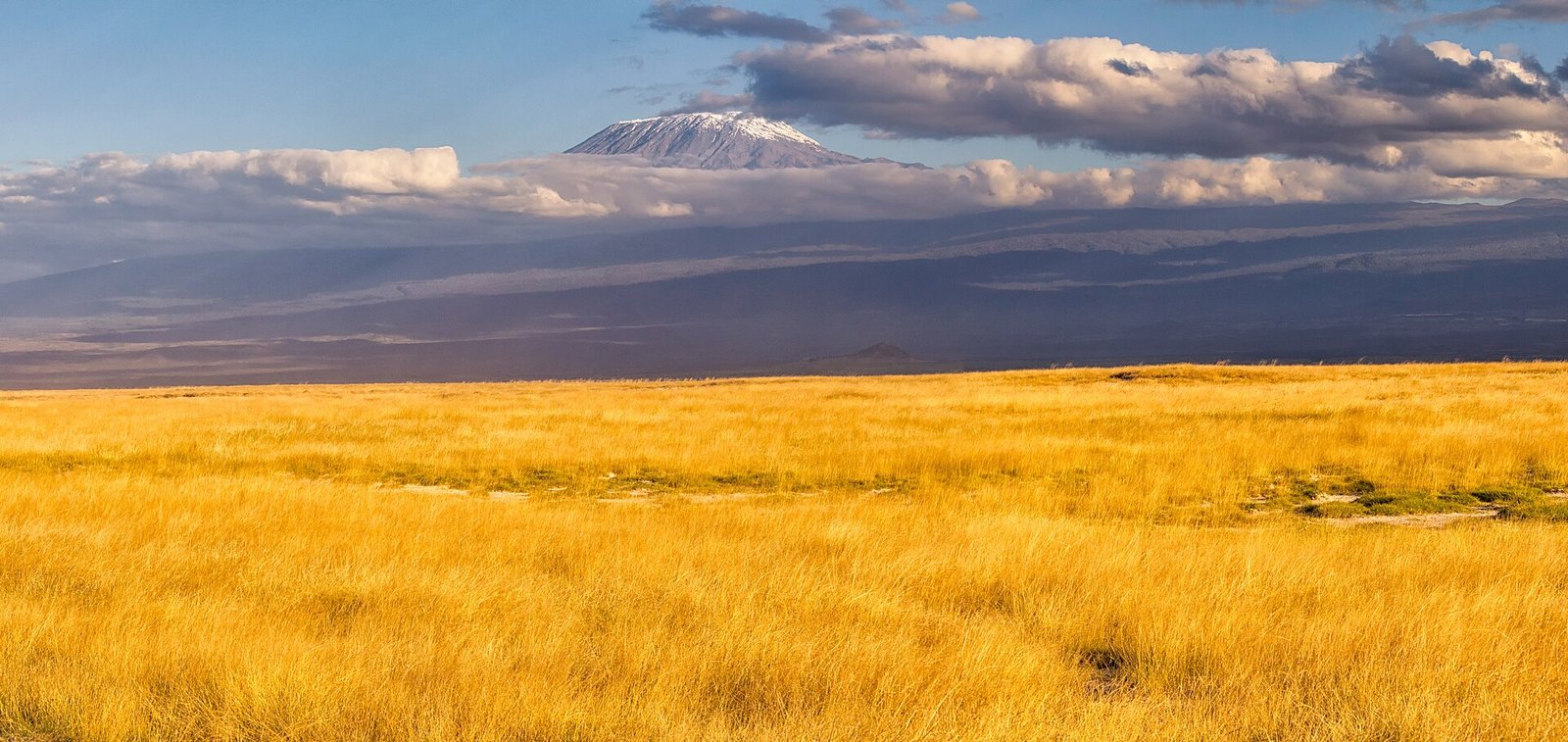 Kibo summit of Mount Kilimanjaro rising above the clouds, Tanzania