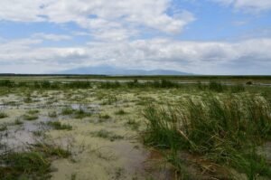 Lake Manyara National Park landscape beneath the Rift Valley escarpment