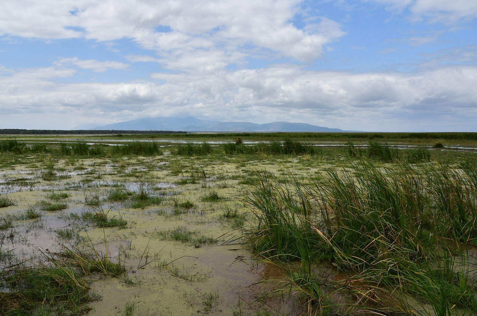 Lake Manyara National Park landscape beneath the Rift Valley escarpment