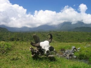 Mount Meru in Arusha National Park, Tanzania