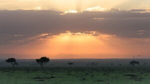 Sun rays over the Serengeti at sunrise