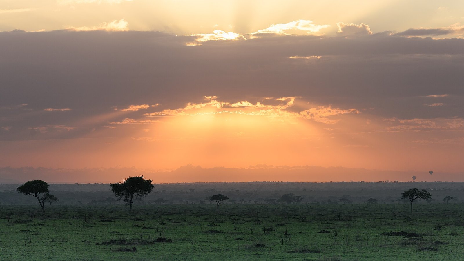 Sun rays over the Serengeti at sunrise